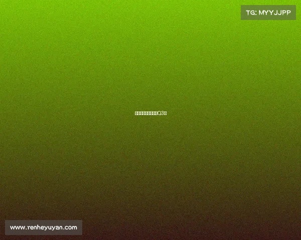 拳霸风云：电竞专家Q3版